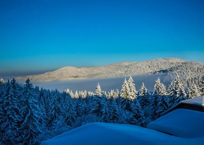 Sunny Hills Ski&Wellness