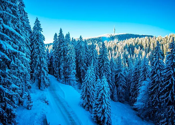 Sunny Hills Ski&Wellness