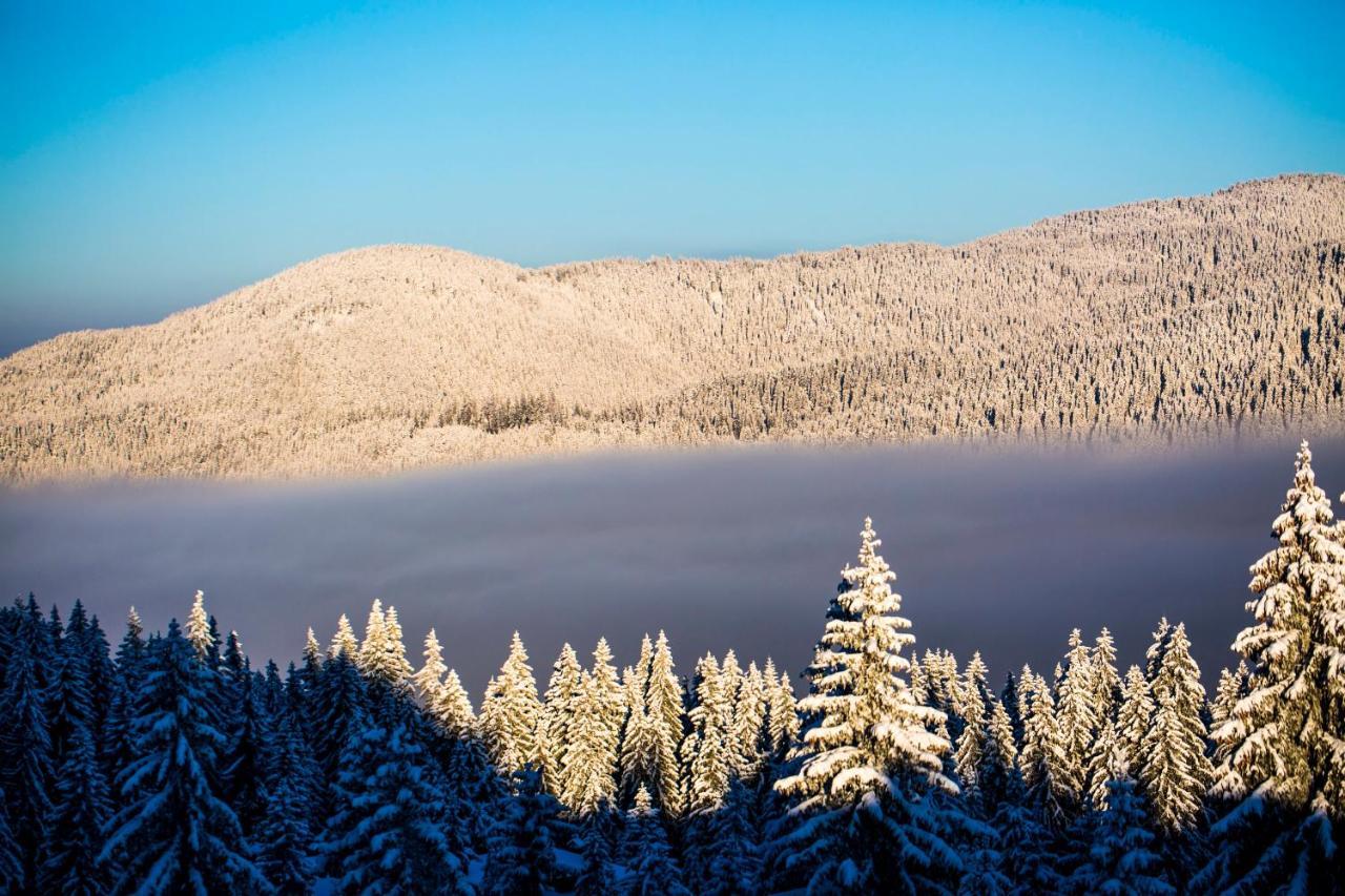 Sunny Hills Ski&wellness Apart Otel Pamporovo