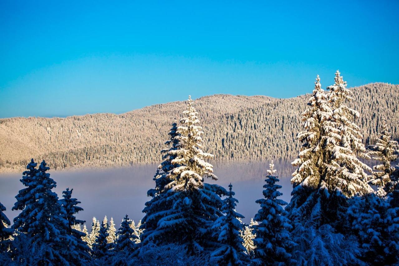 Sunny Hills Ski&wellness Pamporovo