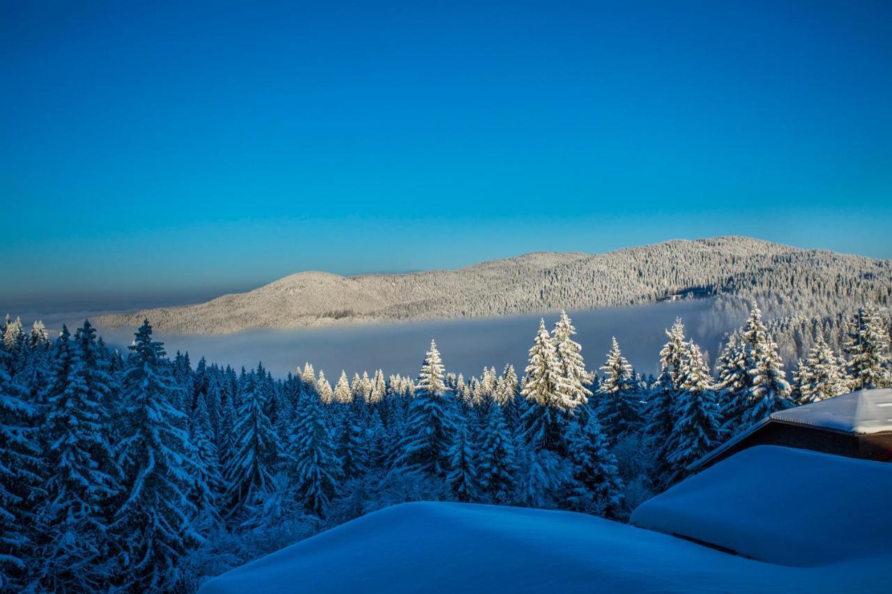 Apart Otel Sunny Hills Ski&wellness