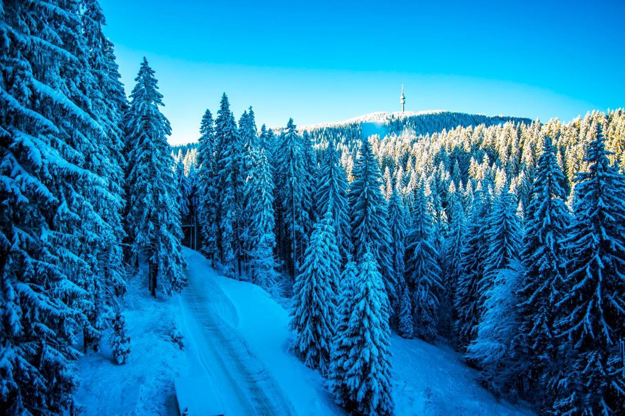 Apart Otel Sunny Hills Ski&wellness