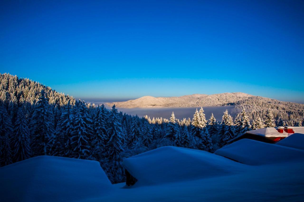 Sunny Hills Ski&wellness Apart Otel Pamporovo